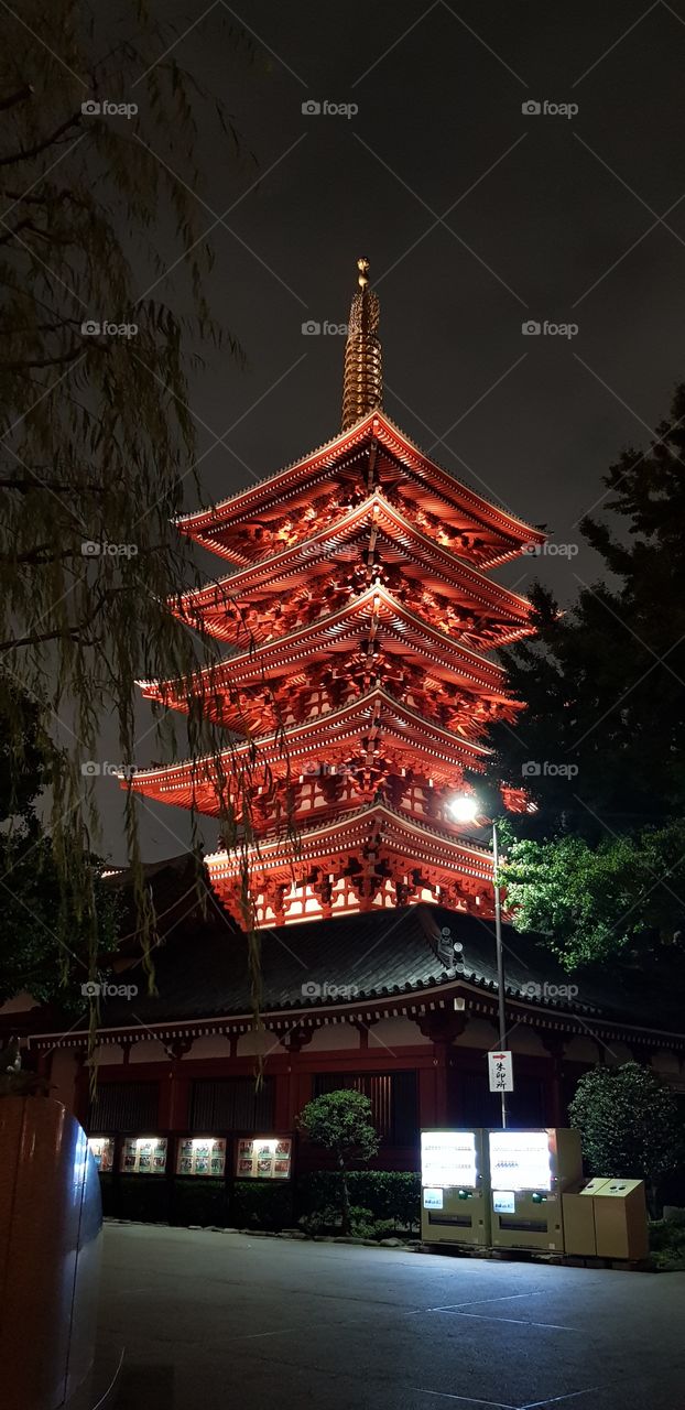 shrine in asakusa