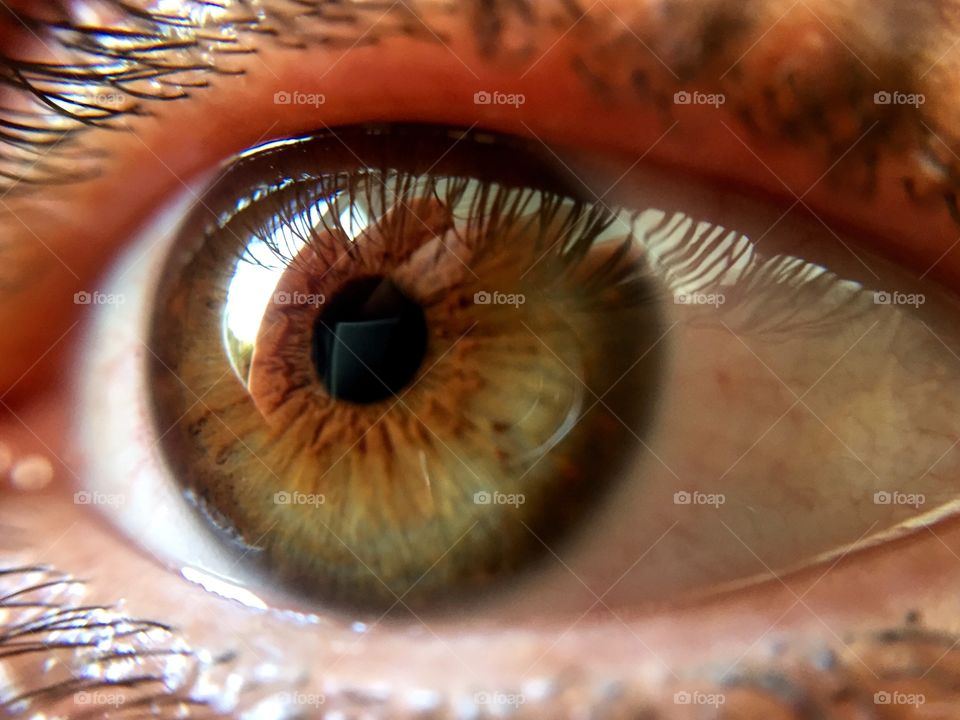 Close up shots of human eye 