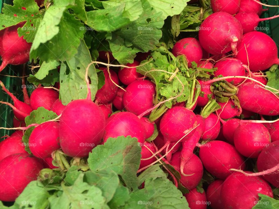 Red radishes