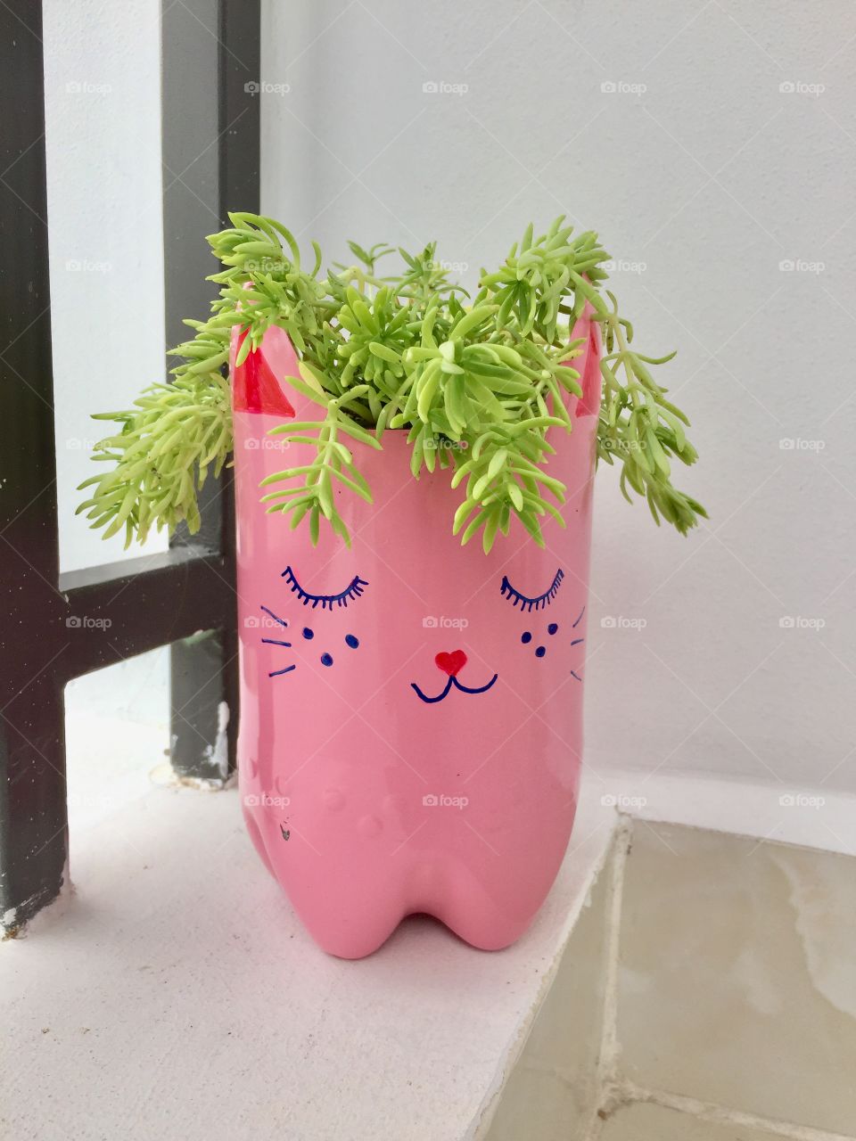 Pink cat flowerpot 