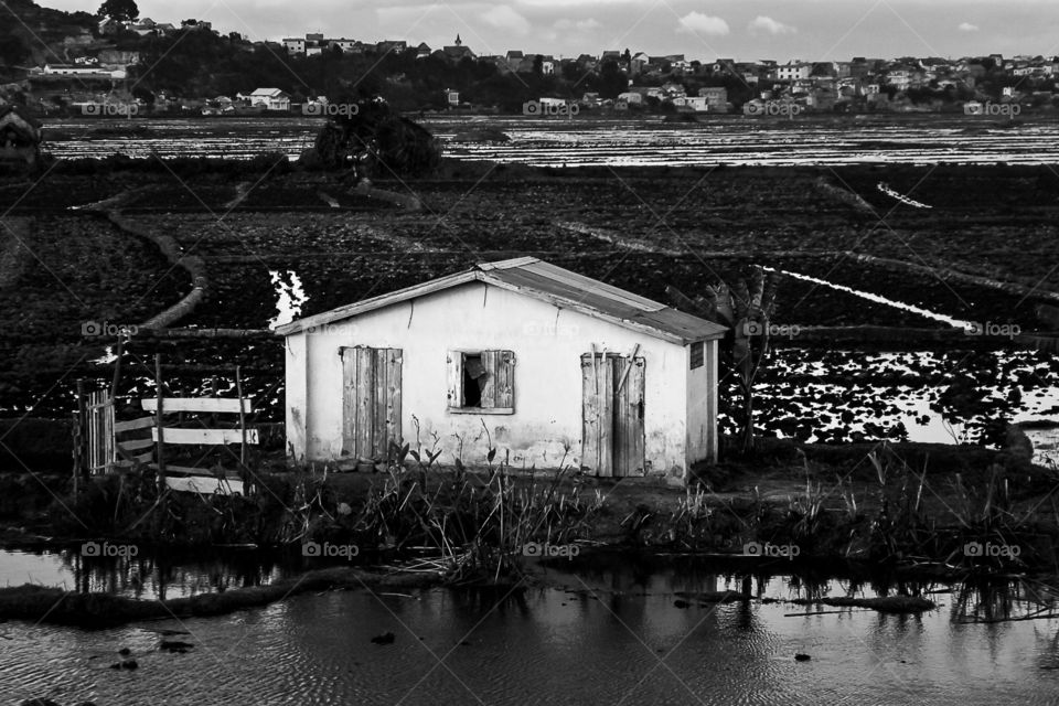 Monochrome black and white image of village house at the rice fields.