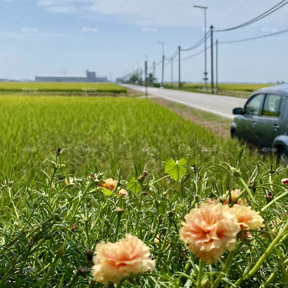 Scenery along the way