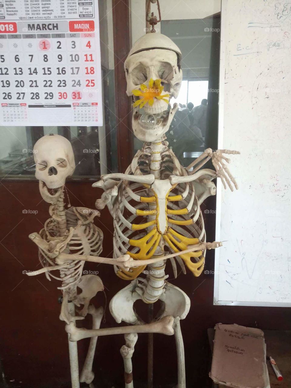 REAL ❤  |  school |