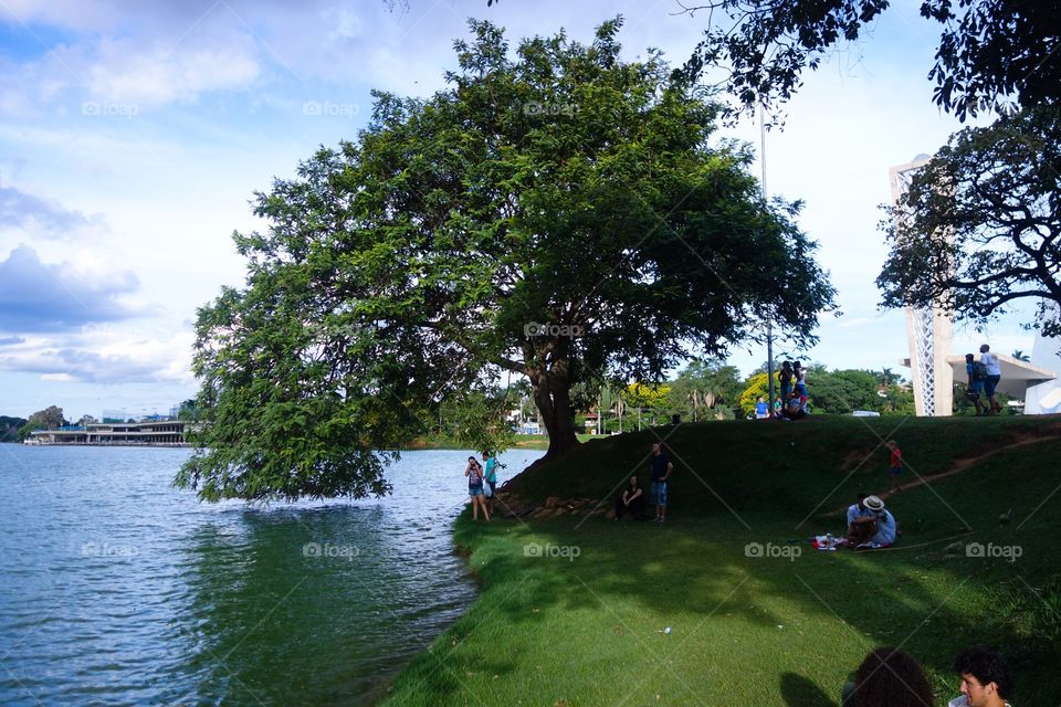 Beautiful lake in the city