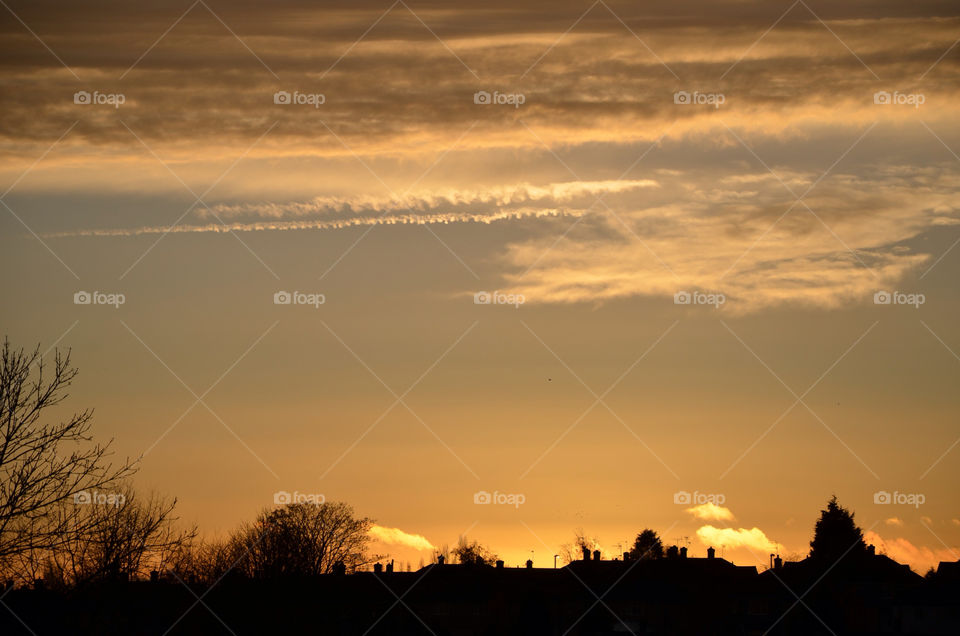 sky tree sunset evening by richnash82
