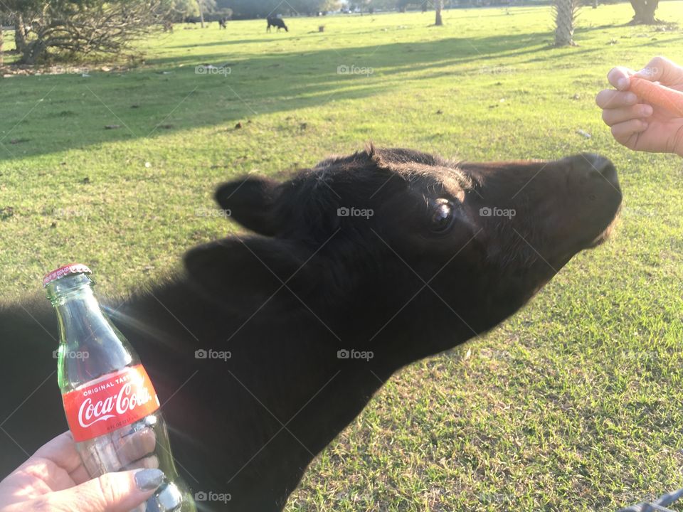 Coca-Cola photography mission 