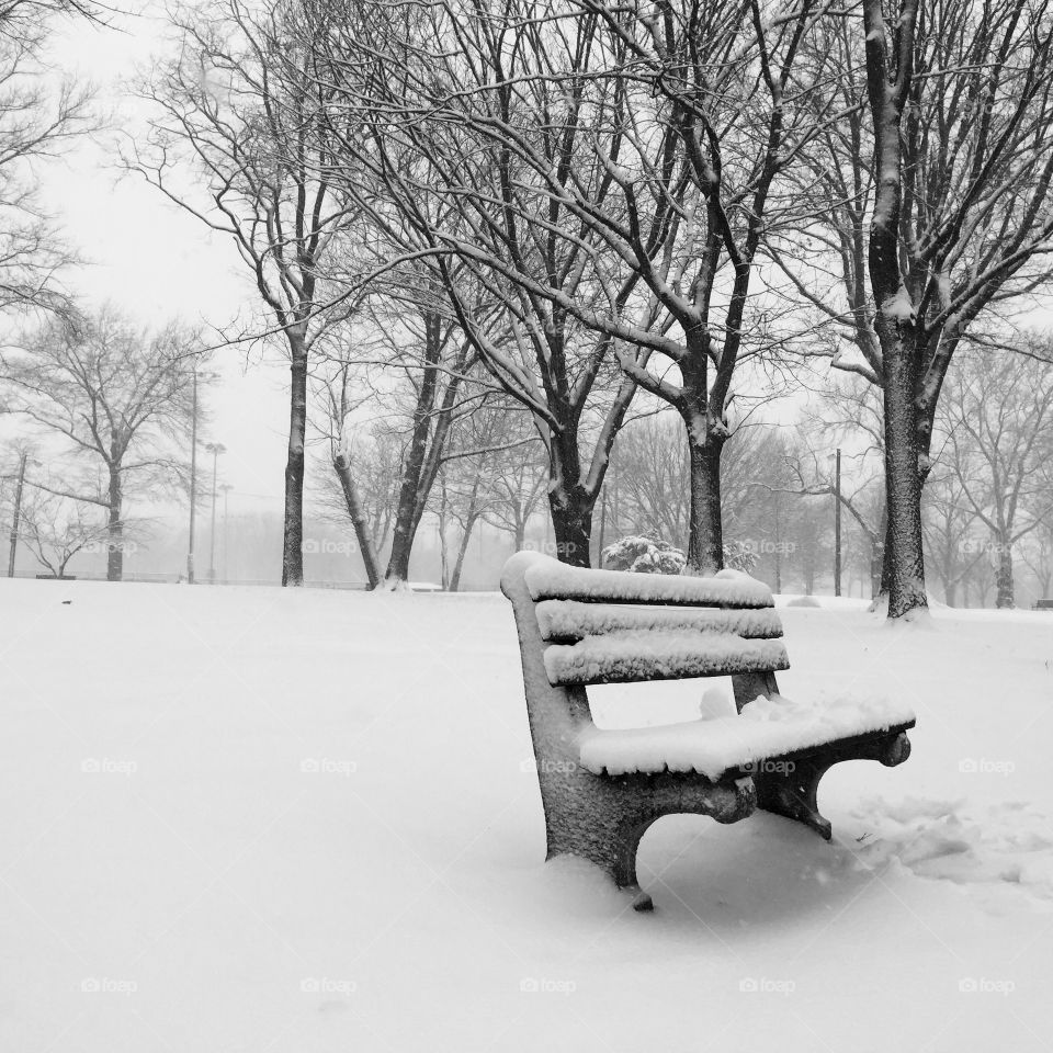 View of a bench in winter