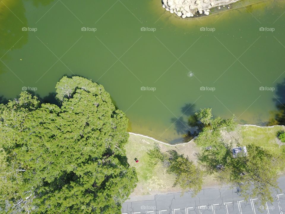 Nature, No Person, Leaf, Water, Desktop