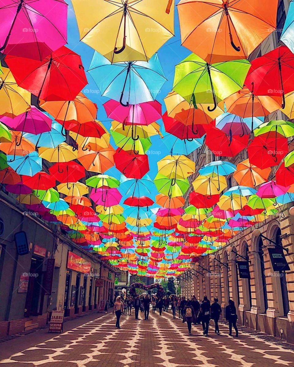 Color love umbrellas