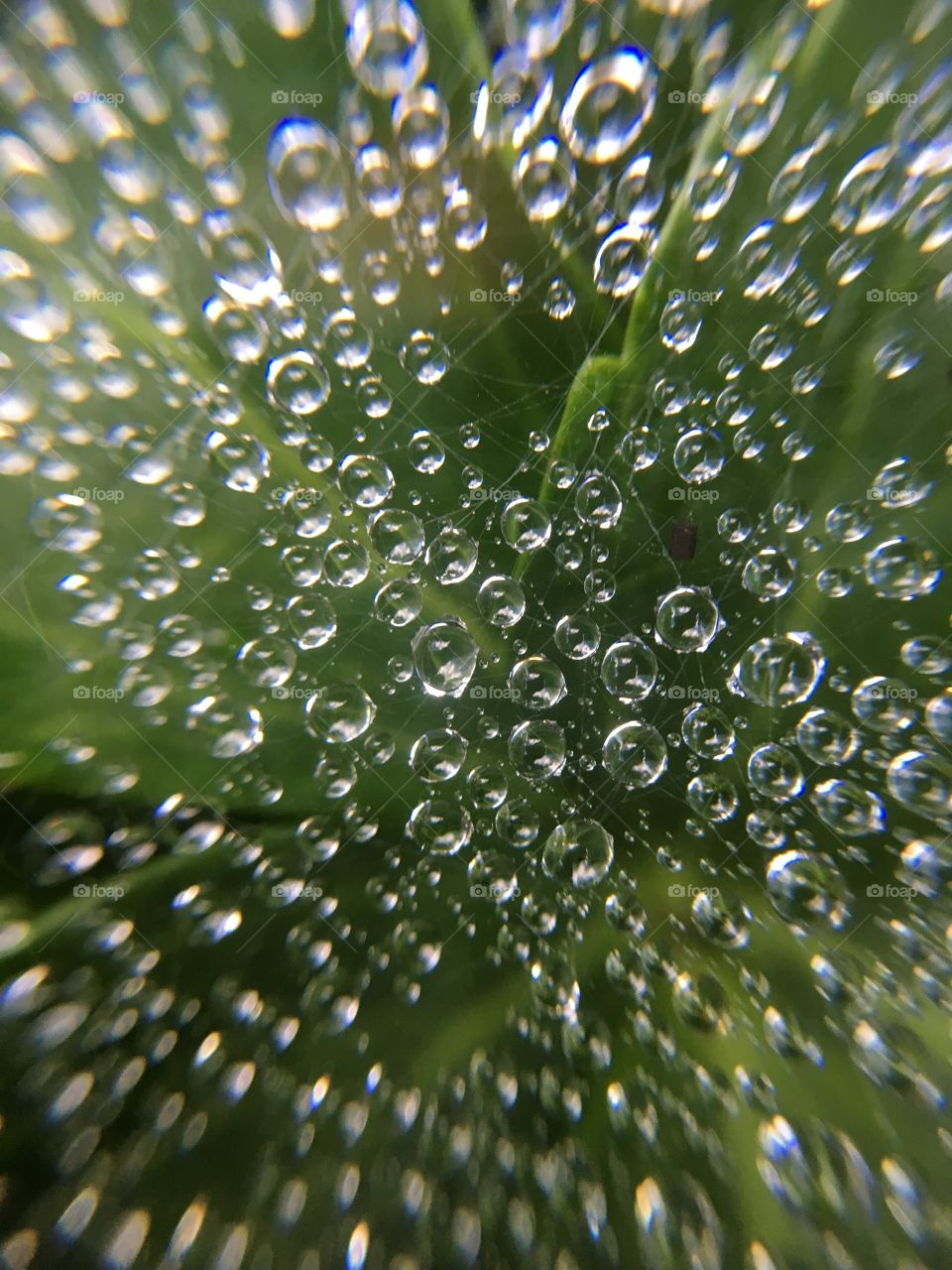 Raindrop circles