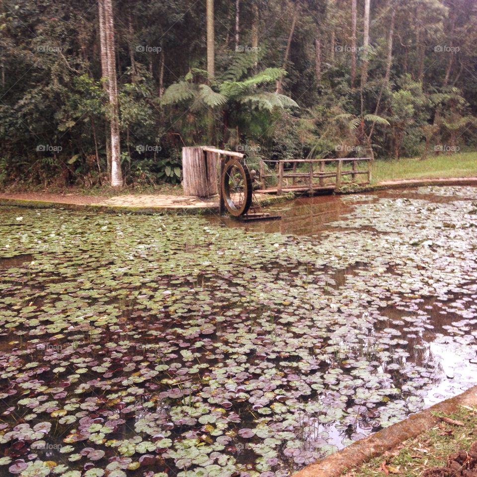 Water Mill. Visiting Botanical garden of São Paulo