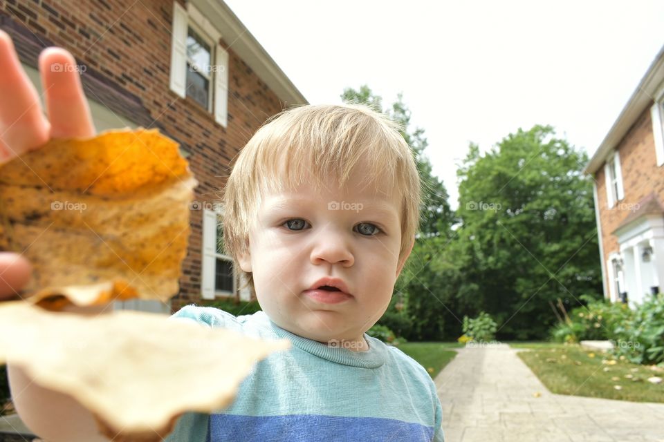Cute toddler playing with fallen leaves 