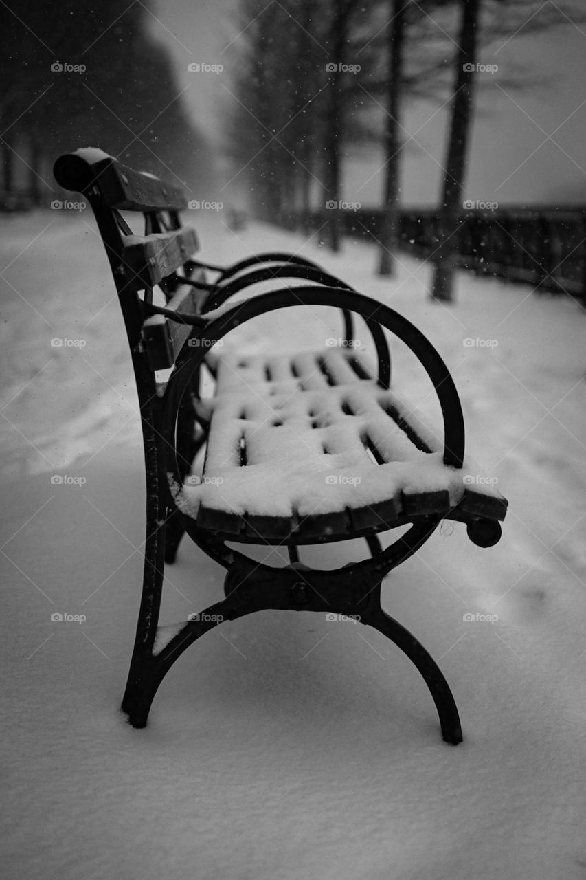 Snowy bench 