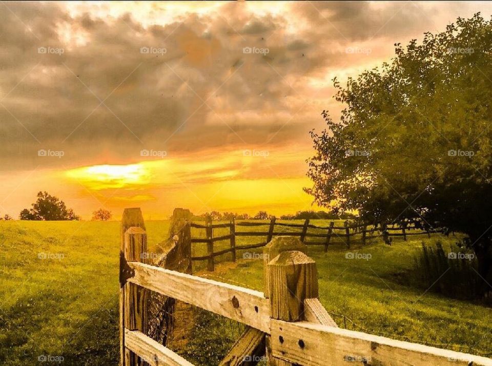 I’m from the country 