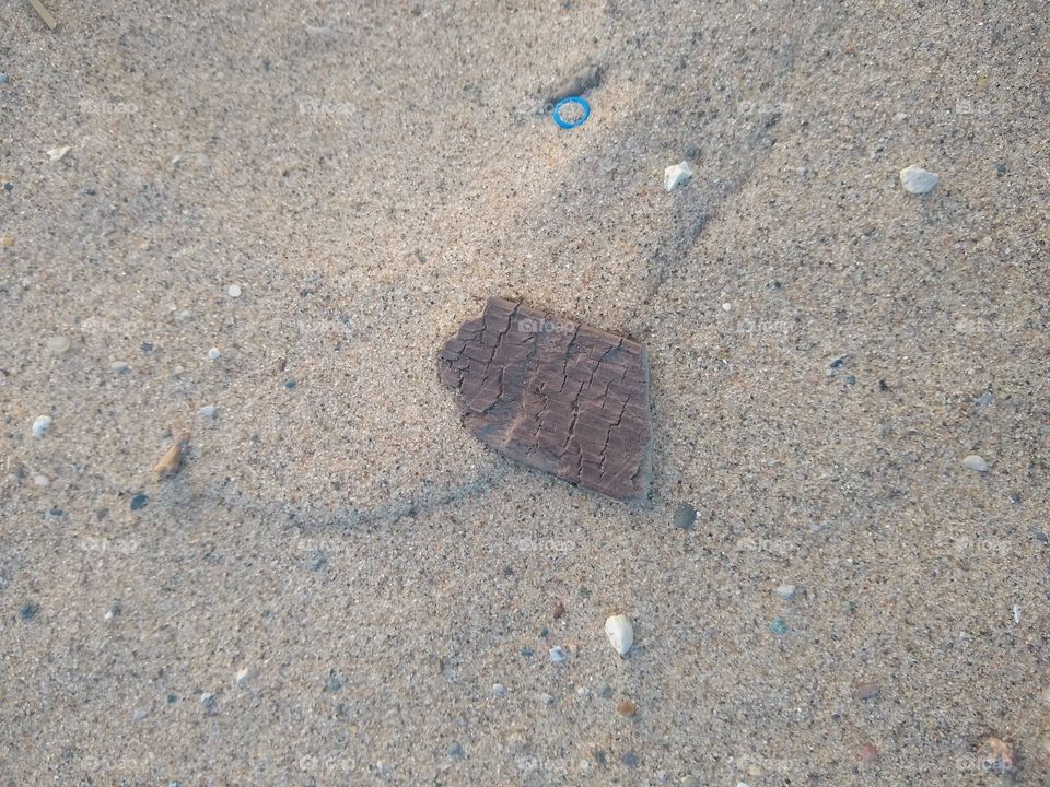 Beautiful peice of wood on the beach