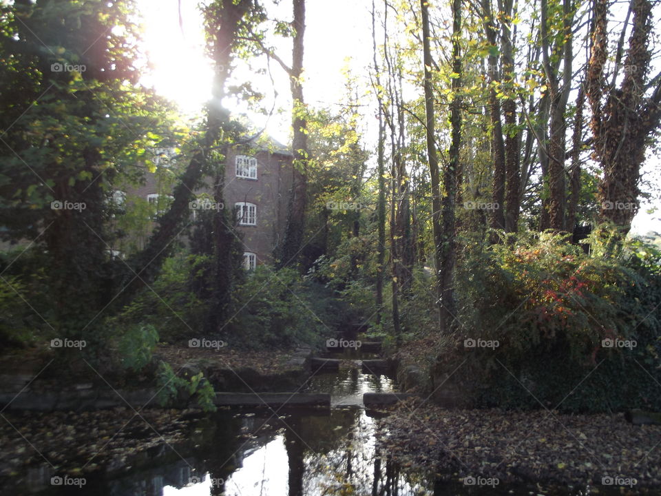 A Stream Beside A House