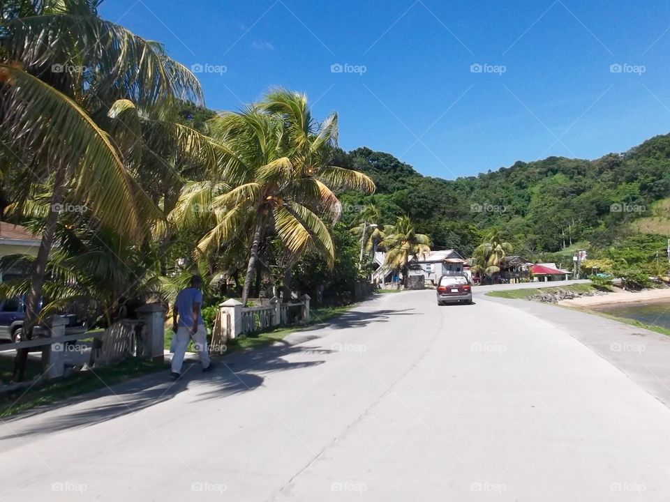 Photo from moving car traveling in Roatan, Honduras