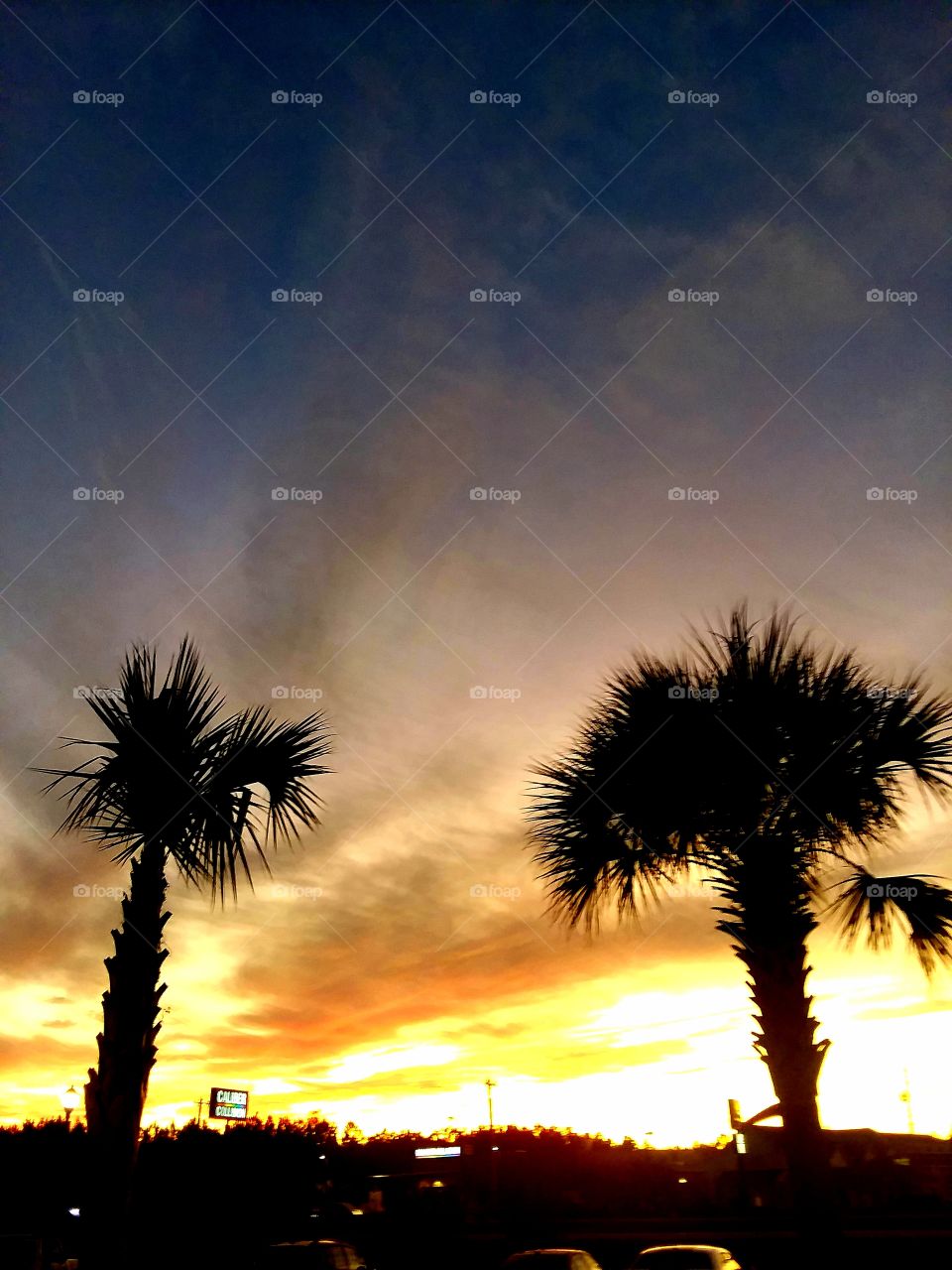 sunset and silhouettes