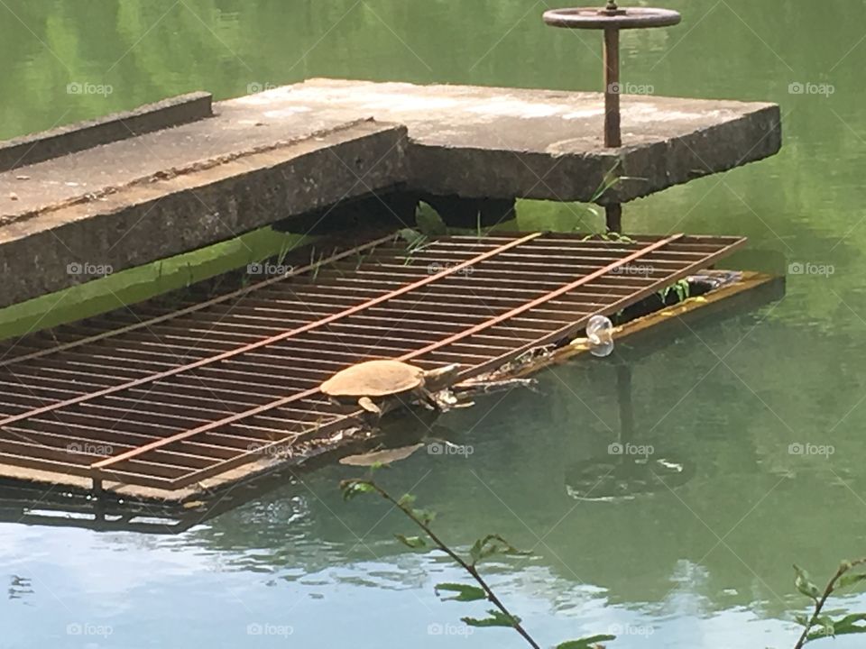 Still about the lake