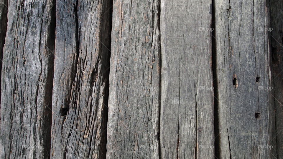 Old logs texture