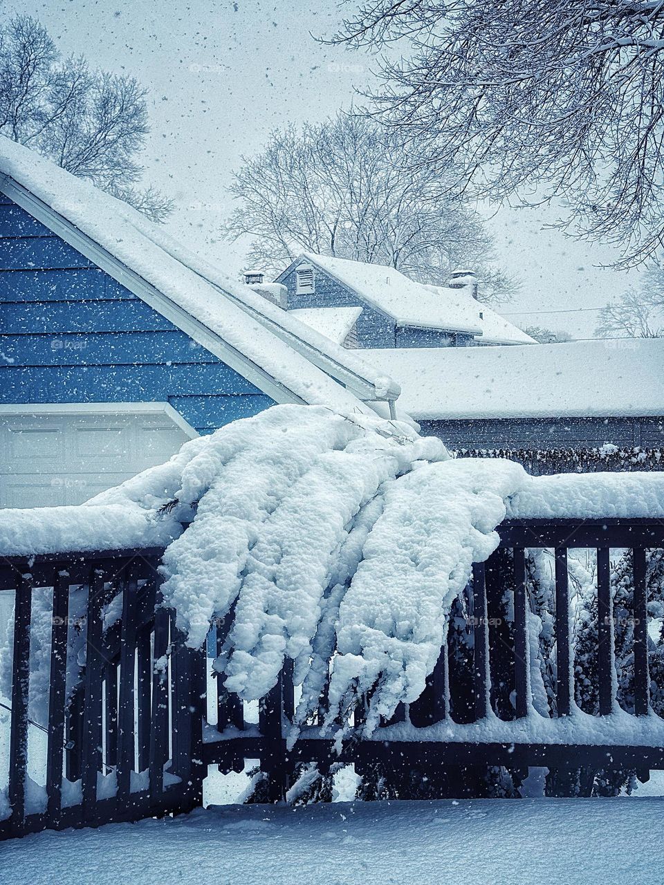 Heavy snow knocking over a tree