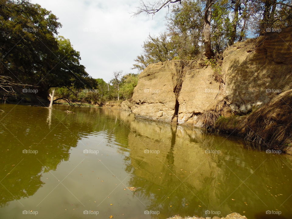 Brazos river bank. This is a picture of the Brazos river bank.