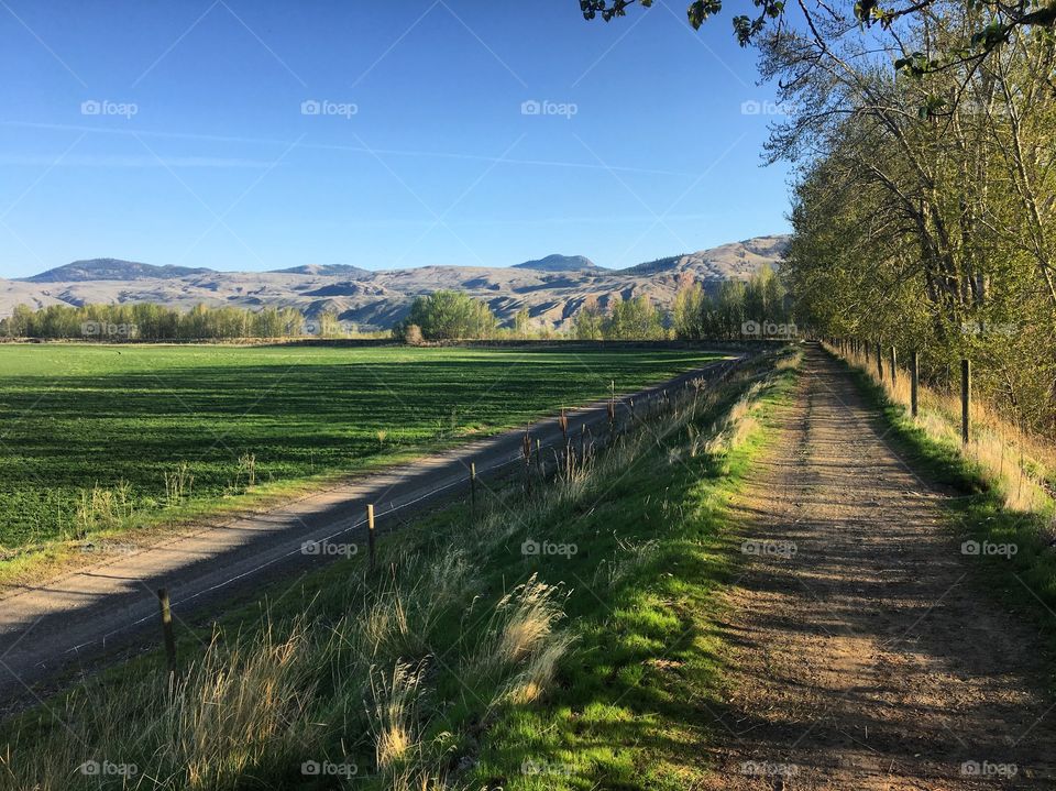 Beautiful sunny evening 