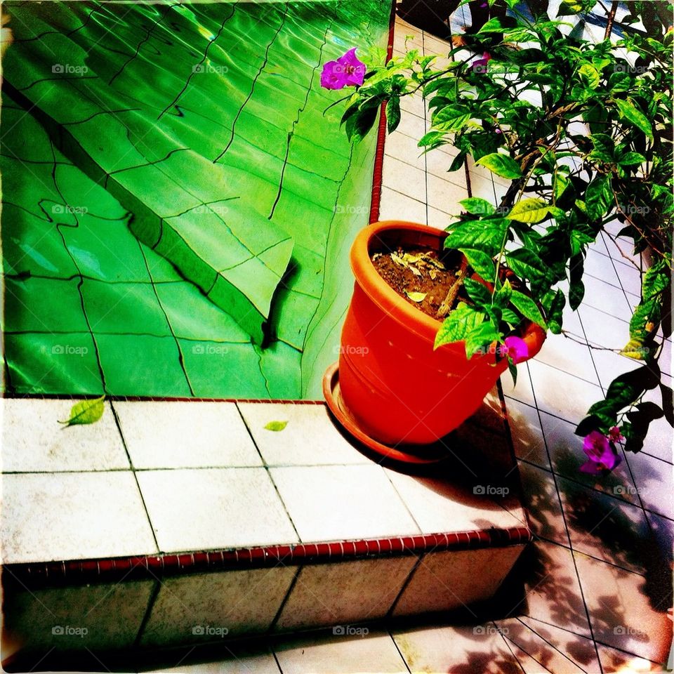 A vase beside a pool