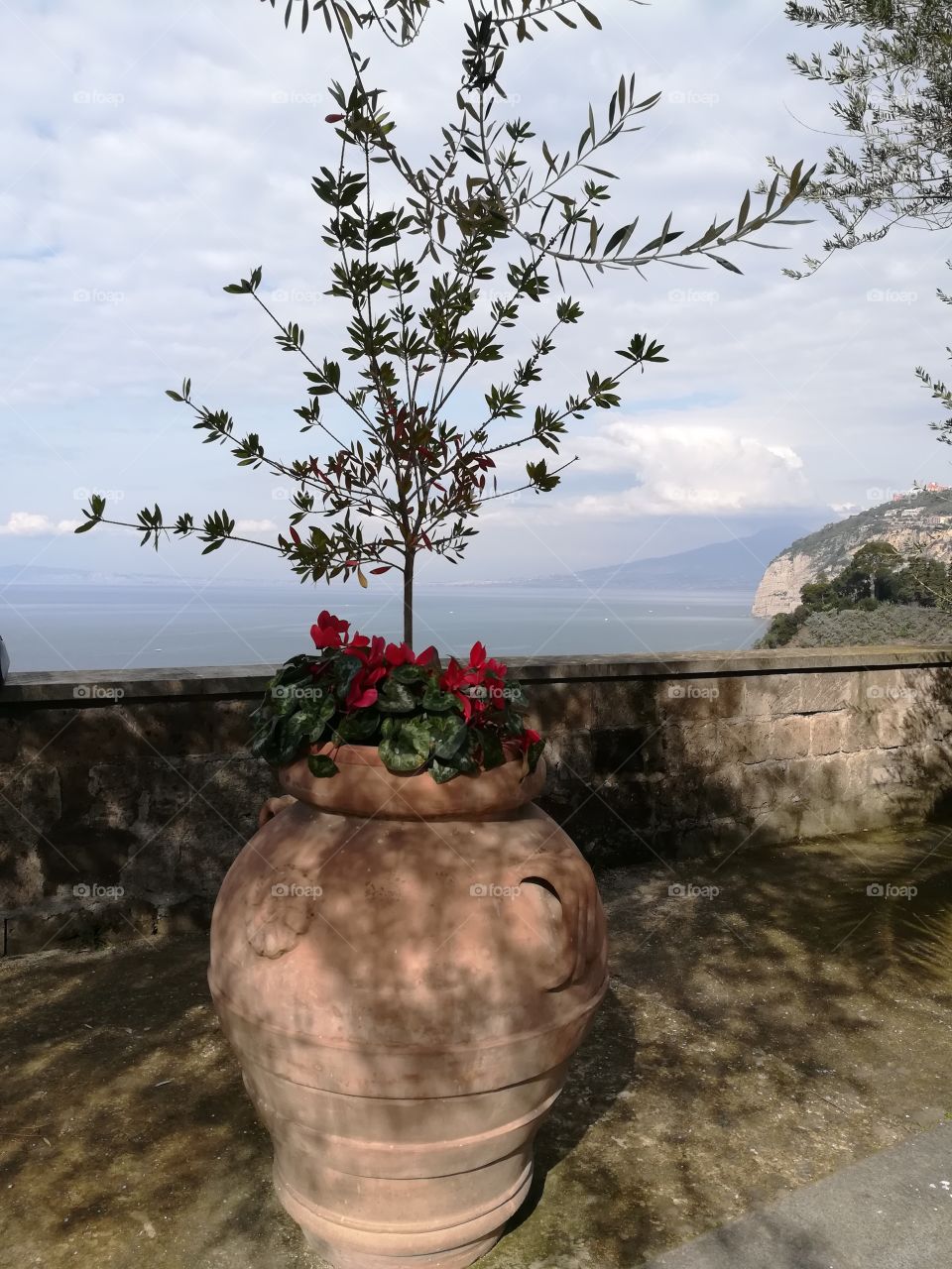 Vesuvio on the horizon