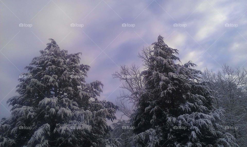 winter sky