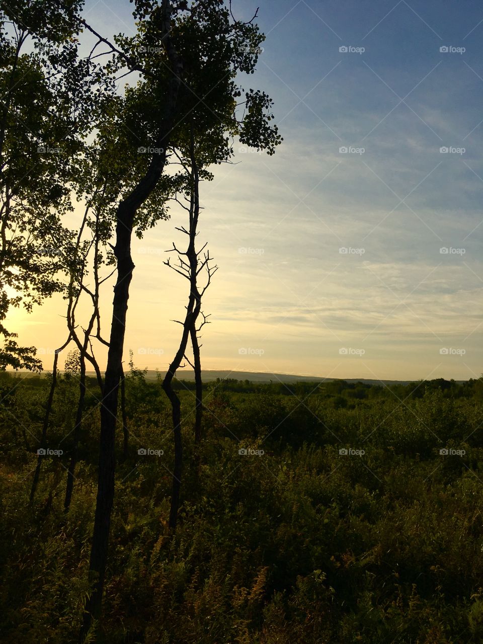 Sunrise-over the meadow, through the woods to the hills