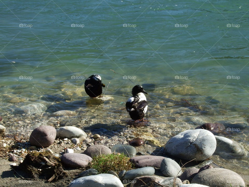Along the river Brenta