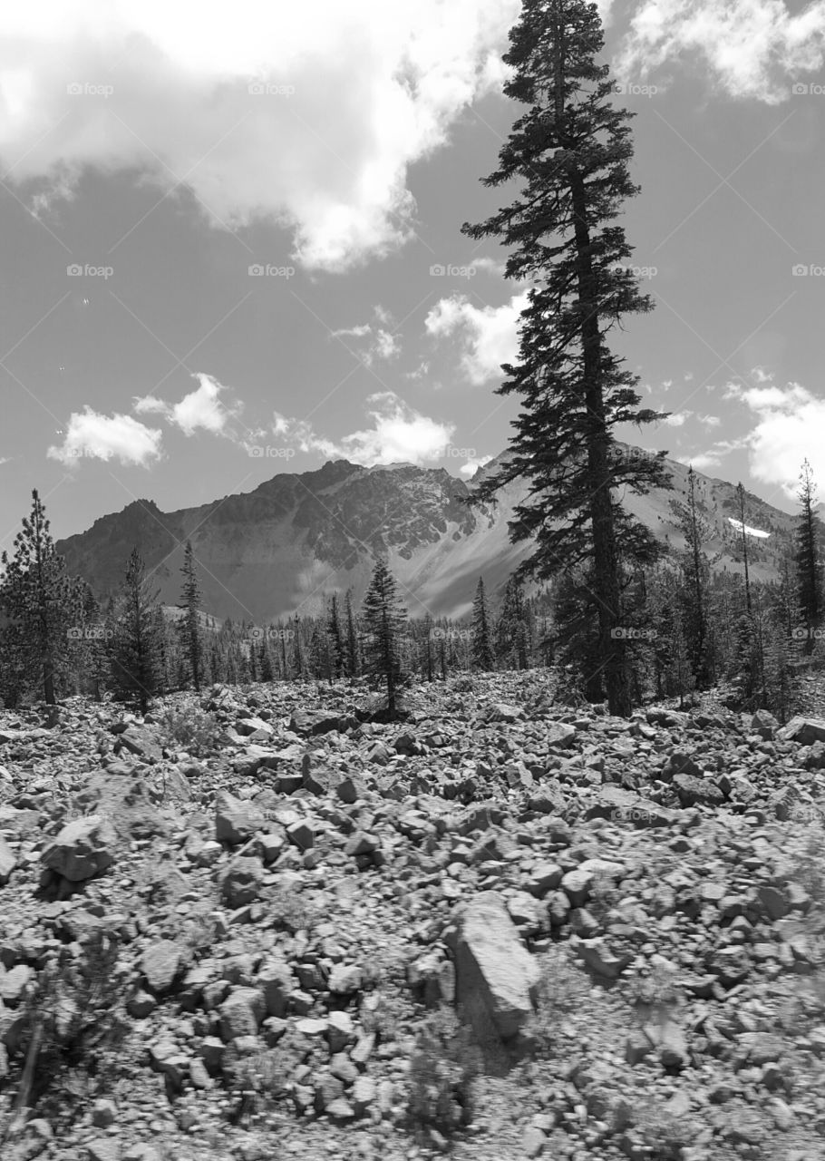 Taken on the road while driving past this towering mountain. Taken while car still in motion