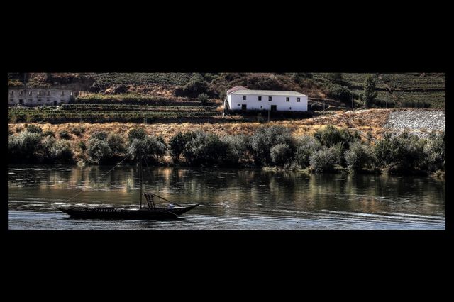 Douro Vinhateiro