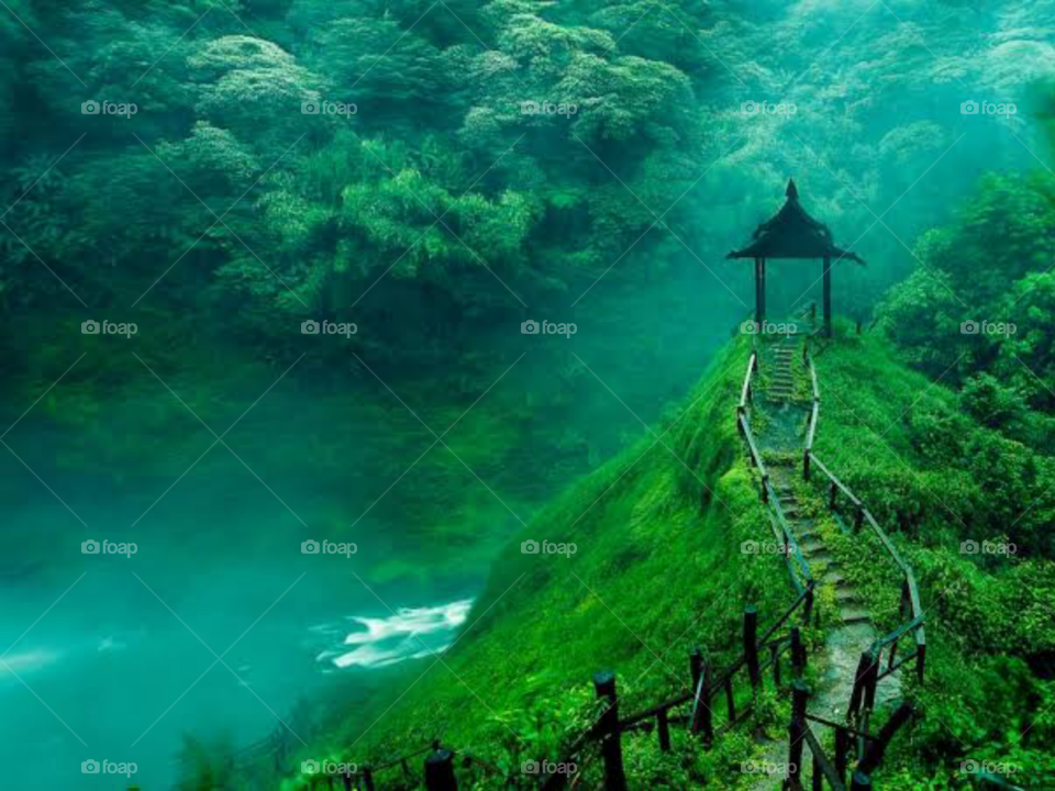 The Beautiful Nature Vibes