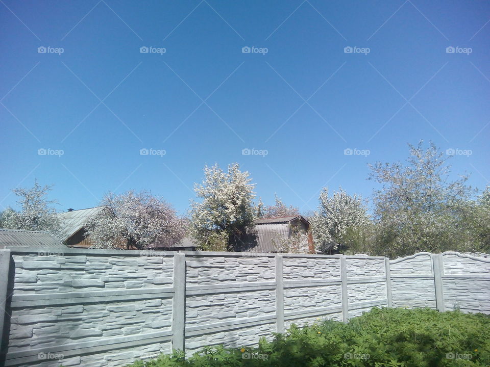 Tree, No Person, Landscape, Sky, Fence