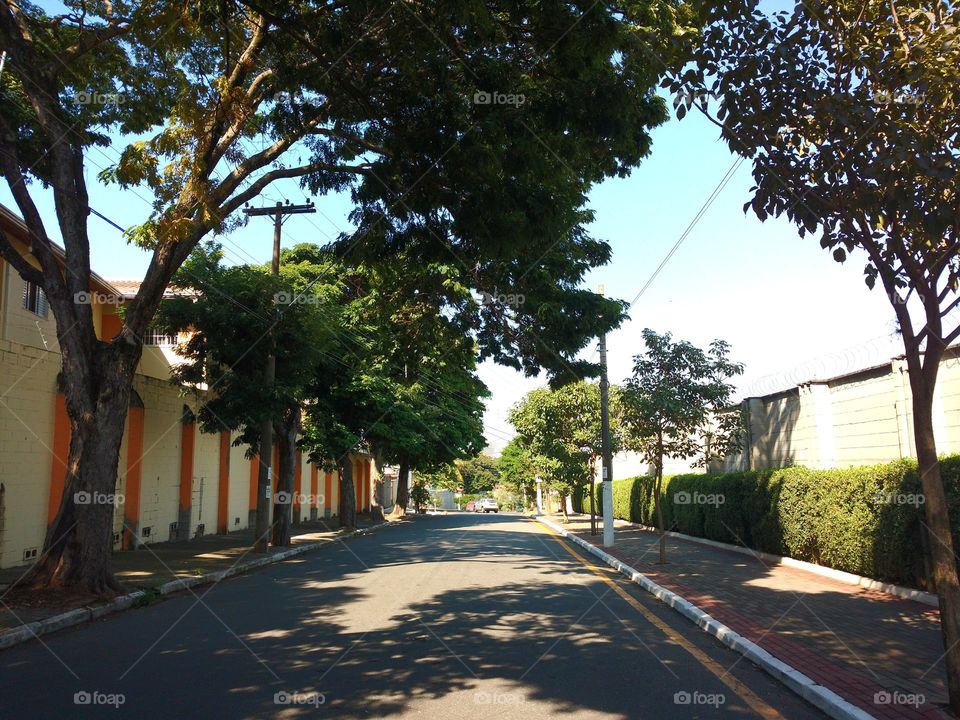 The way of the shadows