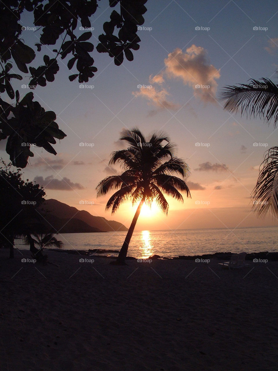 beach sunset palm sea by wme