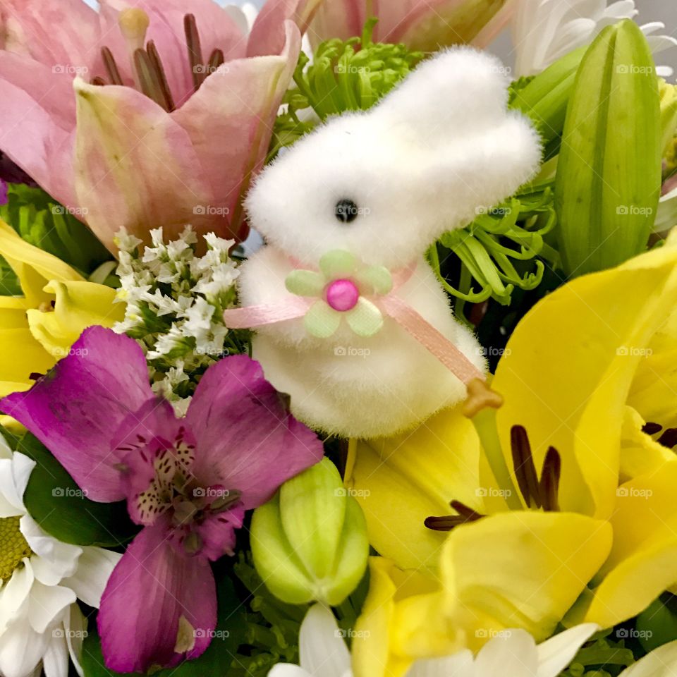 Bunny in flowers