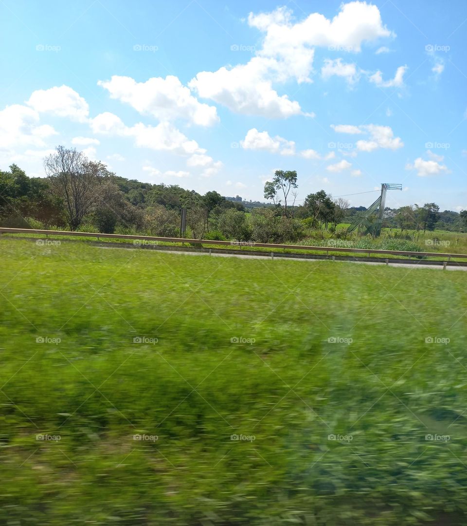 Área verde. Além  da sua própria beleza, as árvores  têm funções  importantes para o meio ambiente. Elas refrescam o ambiente, são barreiras contra o vento, ajudam a manter a umidade do ar, diminuem a poluição, dão sombra e servem de abrigo para aves