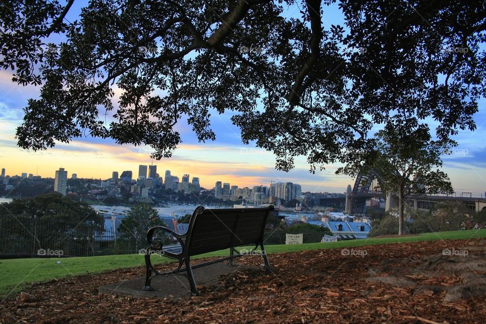 Seat with a view