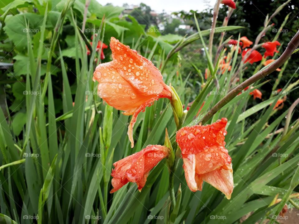 Everyday you look around and you'll see something beautiful...beauty in nature