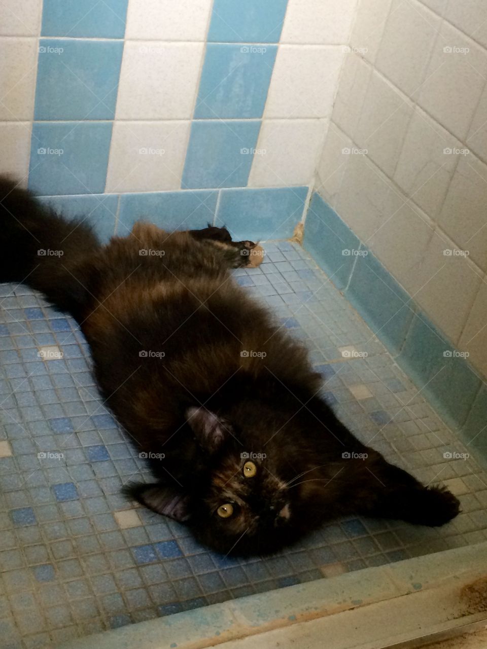 Artesia is cooling it in the shower 