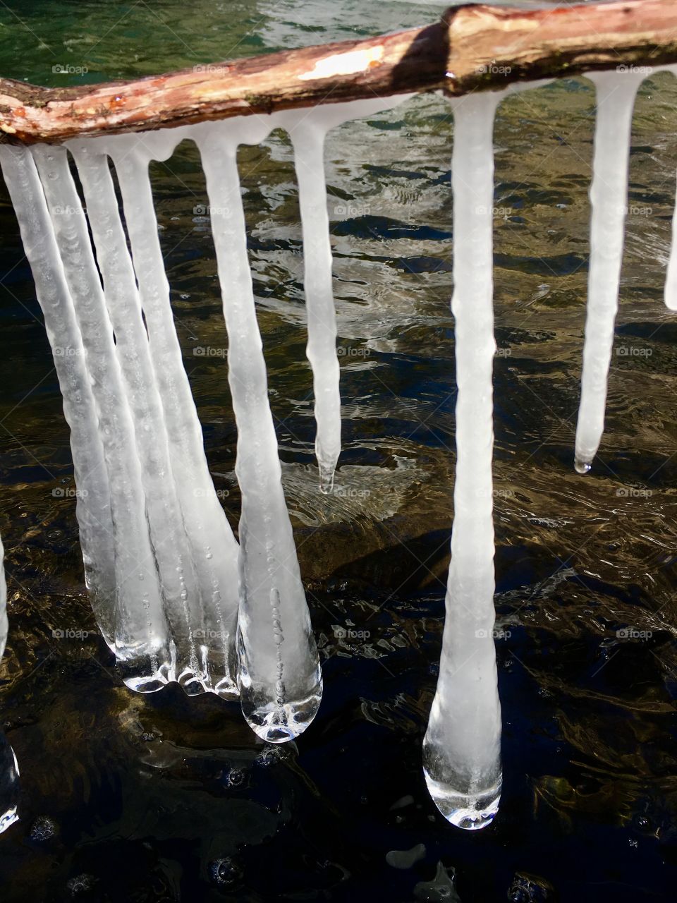 Blob-ended icicles by Foster Falls in South Cumberland State  Park in Tennessee