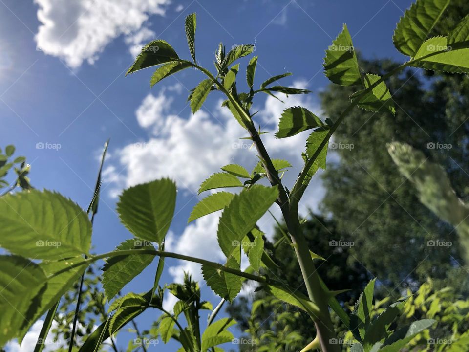 Вид с земли