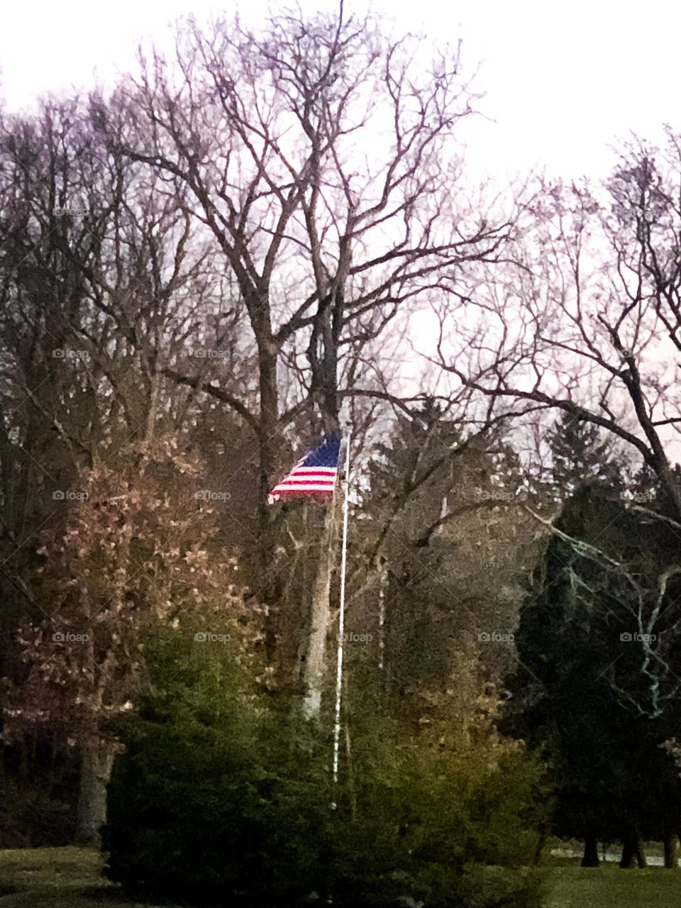 American the beautiful, flag blowing in the wind at a local park with trees in the background with a dark scenery. 