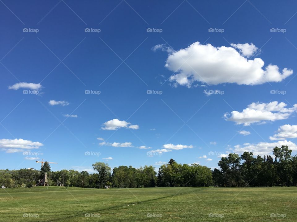 Golf, No Person, Grass, Landscape, Tree