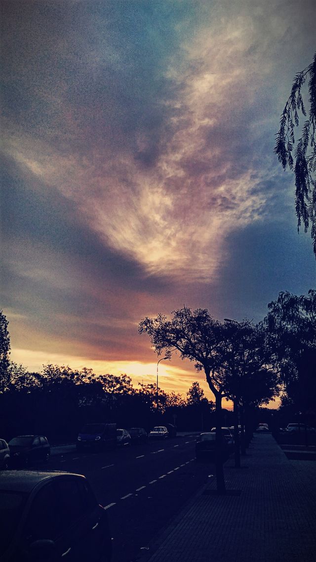sunset