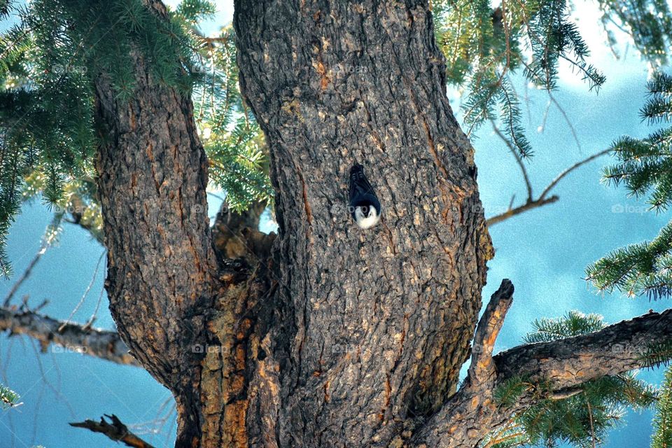 Look up, you never know what you’ll find