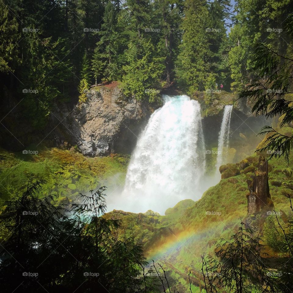 Sahalie falls 